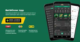 Comprehensive Guide to BetWinner Contacts