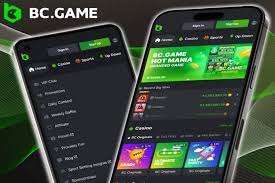 Discover the Exciting World of BC.Game India Your Gateway to Online Gaming